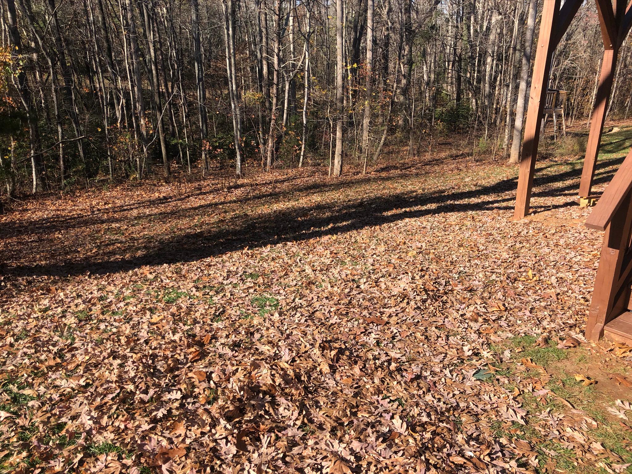 A sloped wooded backyard buried in fallen leaves, ready for a fall cleanup