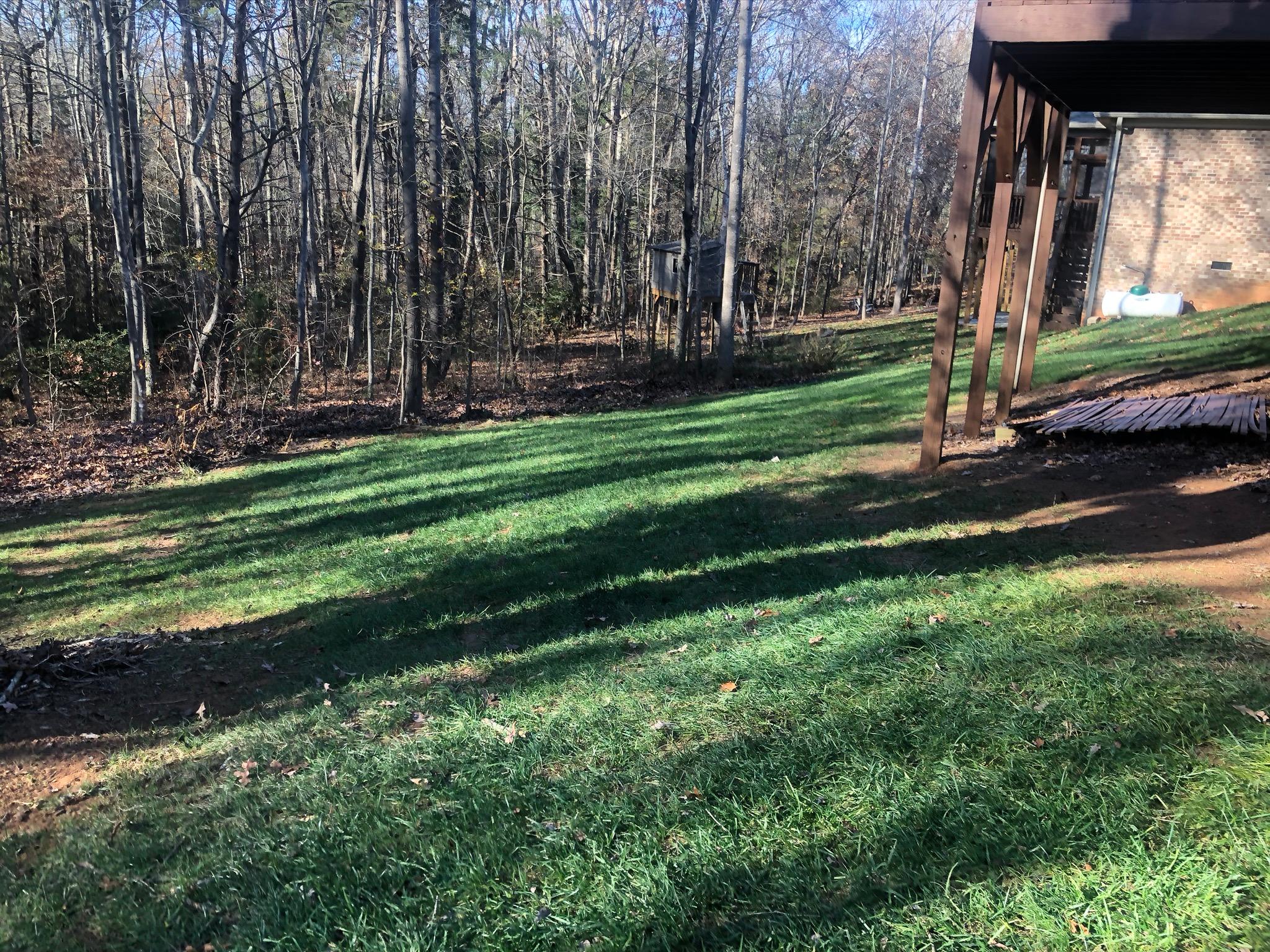 Freshly mowed sloped backyard with mature trees and a brick home in the background